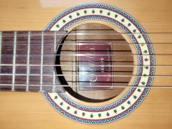 Klasik Gitar